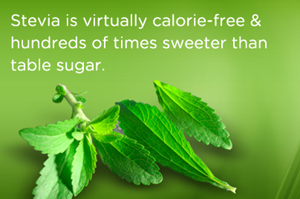  Information about using stevia with diabetes safe for sugar alternative for diabetics stevia better healthy living